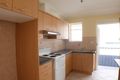Property photo of 19 Platts Avenue Belmore NSW 2192