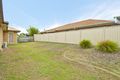 Property photo of 11 Carallia Court Ormeau QLD 4208