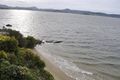 Property photo of 2/494 Sandy Bay Road Sandy Bay TAS 7005