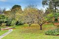 Property photo of 5 Minerva Avenue Balwyn North VIC 3104