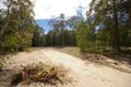 Property photo of 14 Oakleaf Close Tewantin QLD 4565