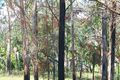 Property photo of 33 Shearer Drive Woolgoolga NSW 2456