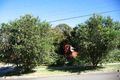 Property photo of 15 Banksia Street Eastwood NSW 2122