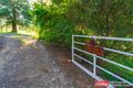 Property photo of 299 Sawpit Lane Wallanbah NSW 2422