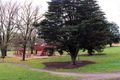Property photo of 36 Richmond Terrace Richmond VIC 3121