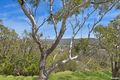 Property photo of 42 Joan Street Forresters Beach NSW 2260