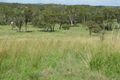 Property photo of 40 Small Road Calliope QLD 4680