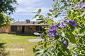 Property photo of 16 Main Street Lake Albert NSW 2650