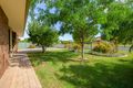 Property photo of 19 Katrina Circuit Corowa NSW 2646