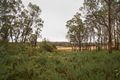 Property photo of 125 Hogans Lane Musk Vale VIC 3461