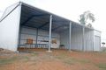 Property photo of 426 Riverleigh School Bus Road Riverleigh QLD 4626