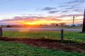 Property photo of 1 Birnam Street Beaudesert QLD 4285