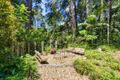 Property photo of 2299 Springbrook Road Springbrook QLD 4213