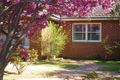 Property photo of 233 Sharp Street Cooma NSW 2630