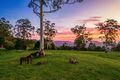 Property photo of 425 Main Western Road Tamborine Mountain QLD 4272