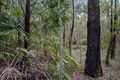 Property photo of 30 Range Road Captain Creek QLD 4677