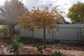Property photo of 246 Pine Street Hay NSW 2711
