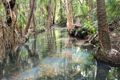 Property photo of 954 Woodstock Giru Road Mount Surround QLD 4809
