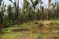 Property photo of 308 Singles Ridge Road Yellow Rock NSW 2777