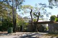 Property photo of 36 Davey Street Glenella QLD 4740