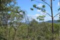 Property photo of LOT 1 Kidaman Creek Road Kidaman Creek QLD 4574