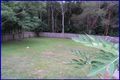 Property photo of 15 Amira Drive Port Macquarie NSW 2444