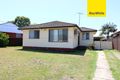 Property photo of 53 Chelsea Drive Canley Heights NSW 2166