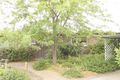 Property photo of 81 Sherbrooke Street Ainslie ACT 2602