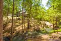 Property photo of 1339 Eumundi Noosa Road Eumundi QLD 4562