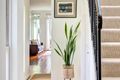 Property photo of 34A Cabramatta Road Mosman NSW 2088