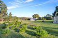 Property photo of 231 Nicholls Road Bradbury SA 5153