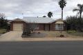 Property photo of 50 Meander Avenue Renmark SA 5341