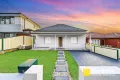 Property photo of 31 Sharp Street Belmore NSW 2192
