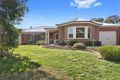 Property photo of 14 Delview Drive Jan Juc VIC 3228