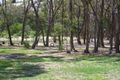 Property photo of 29 Andrew Drive Haddon VIC 3351