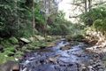 Property photo of 692 Horseshoe Creek Road Upper Horseshoe Creek NSW 2474