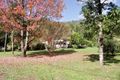 Property photo of 692 Horseshoe Creek Road Upper Horseshoe Creek NSW 2474