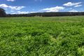 Property photo of 2782 Bonnay-Linton Road Bundarra NSW 2359