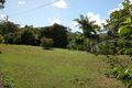 Property photo of 31 Caprioglio Road Conway QLD 4800