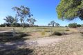 Property photo of 26 Old Dalrymple Road Toll QLD 4820