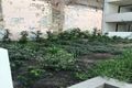 Property photo of 133/12 Marsden Street Camperdown NSW 2050