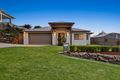 Property photo of 4 Peregrine Street Reedy Creek QLD 4227