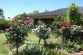 Property photo of 45 Bathurst Street Forbes NSW 2871