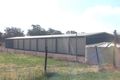 Property photo of 58 Comer Street Henty NSW 2658