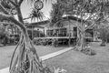 Property photo of 8 Wygani Drive Noosa North Shore QLD 4565
