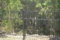 Property photo of 8 Cormorant Court Douglas QLD 4814