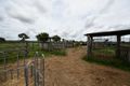 Property photo of 144 Bishop Road Garnant QLD 4702