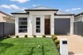 Property photo of 11 Orkney Avenue Marion SA 5043