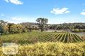Property photo of 11 Ebenezer Place Gumeracha SA 5233