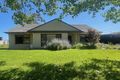 Property photo of 13 Silvermere Avenue Paradise SA 5075